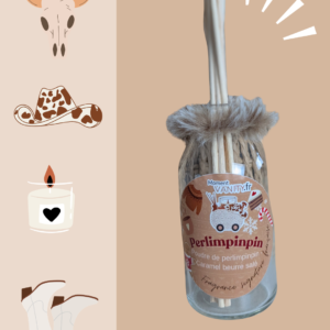 ✨ Diffuseur à bâtonnets – Perlimpinpin (sans alcool, nacres naturelles) | 100ml