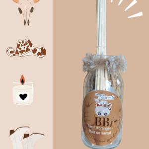 Diffuseur Bâtonnet BB j'm - Sans Alcool - Parfum Scintillant, Nacres Naturelles, Rechargeable