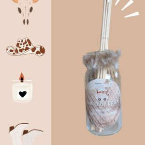 🍂 Diffuseur à bâtonnets – Automne Épicé - Orange épicé, bois de Gaïac & Vanille | 100 ml